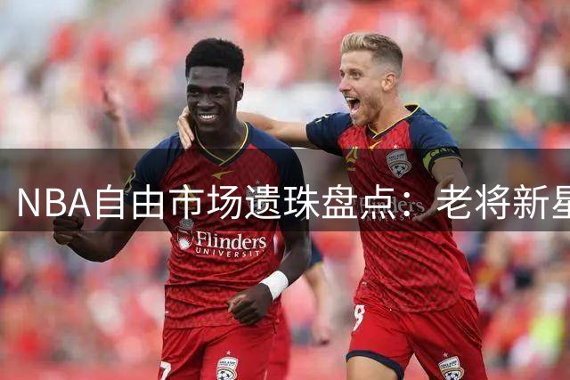 NBA自由市场遗珠盘点：老将新星各显神通 谁将成为下个抢手货？